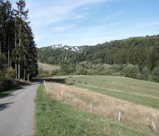 n&auml;here Umgebung Wildenburg,, &copy; Nordeifel Tourismus GmbH & Ferienwohnung Charly