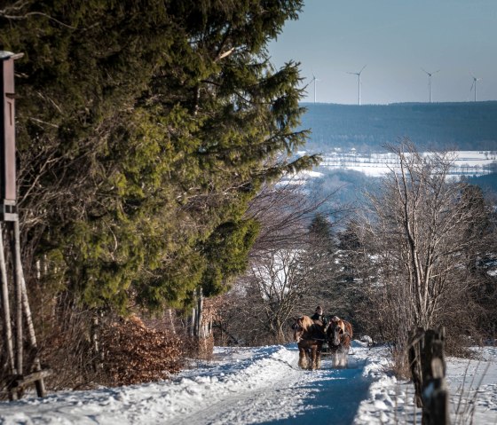 Bauershof M&uuml;tzenich, &copy; Akim-Tierfotografie