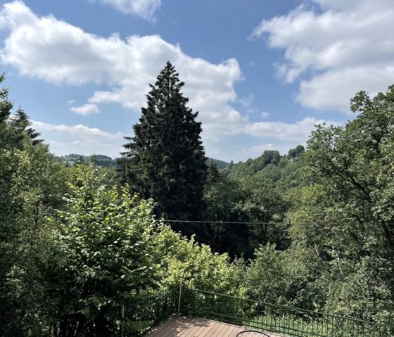 Ferienhaus M&uuml;hlenley -  Aussicht