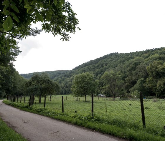 Lower Kalltal nature reserve, © some.oner