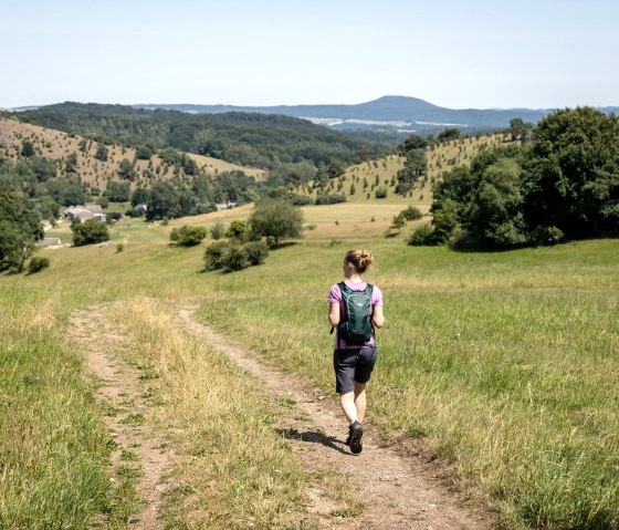 Eine Frau mit Rucksack wandert auf einem Pfad durch die h&uuml;gelige, gr&uuml;ne Landschaft der Eifel unter blauem Himmel., &copy; Eifel Tourismus GmbH, Dominik Ketz