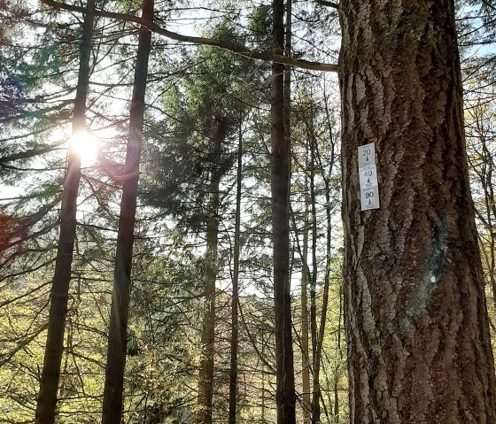 20201106_104939 copy, &copy; Rureifel-Tourismus e.V.