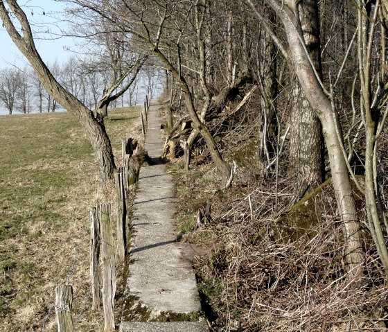 Forest path, &copy; Monschau-Touristik