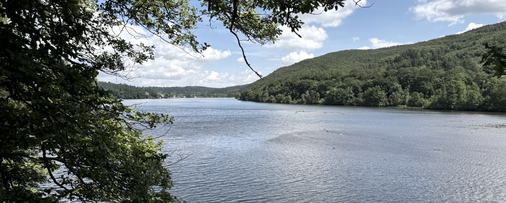 Ausblick auf den Stausee, &copy; Rureifel-Tourismus e.V., Dennis Winands
