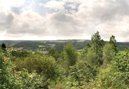 Gr&uuml;nenthal in Monschau-Imgenbroich, &copy; Naturpark Nord Eifel e.V