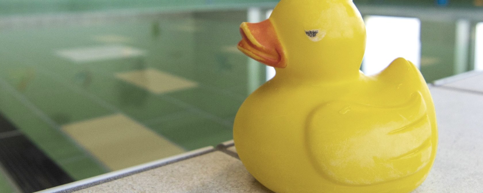 Symbol image duck, &copy; Monschauer Land Touristik e.V.