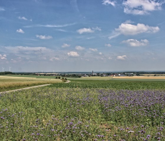 B&ouml;rdeblick
