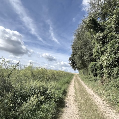 Kreuzau 1 - Nr. 22, &copy; Rureifel-Tourismus e.V., Michelle Wiesen