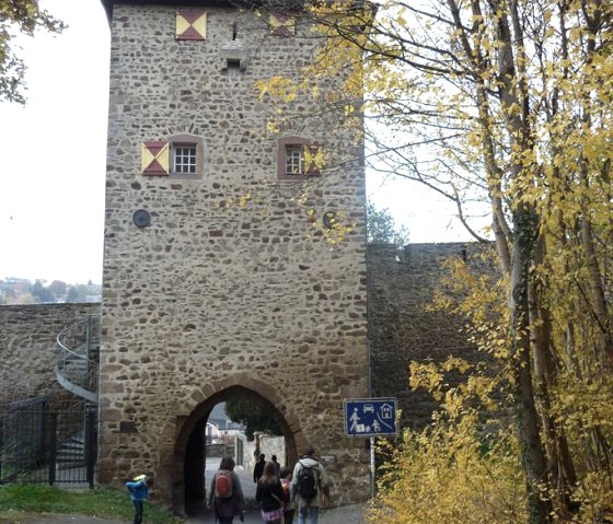 P1030586, &copy; Nordeifel Tourismus GmbH & Ferienwohnung Orchidee