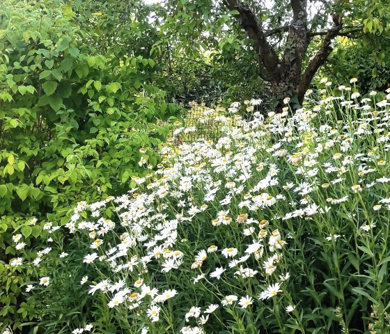 Blumen