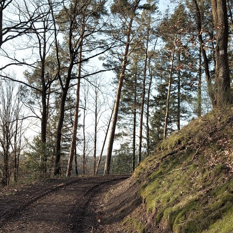 Februarweg (co) Theißen-Braun