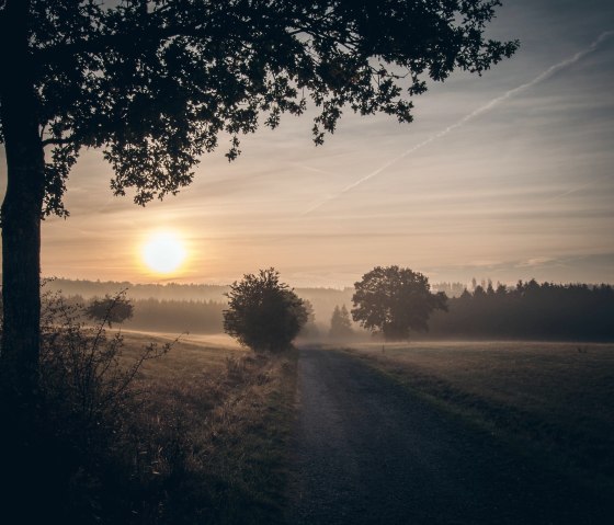 Schöpfungspfad, © Nationalparkseelsorge