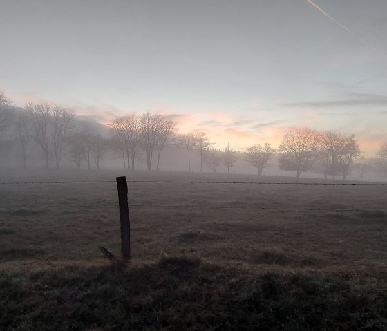 Winterstimmung Nebel Langschoss(co) Thei&szlig;en-Braun