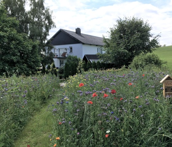 hausblumen, &copy; Nordeifel Tourismus GmbH & Ferienwohnung Auszeit