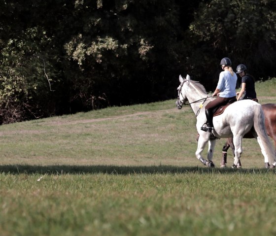 reiten, &copy; Nordeifel Tourismus Gmbh
