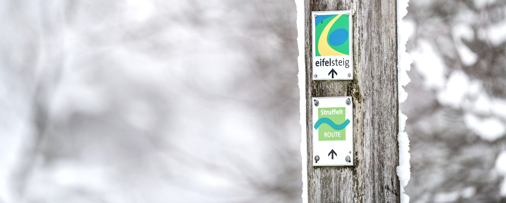 Ein Holzpfosten mit Schildern f&uuml;r den Eifelsteig und die Struffelt-Route, bedeckt mit Schnee, vor einem verschwommenen, winterlichen Hintergrund., &copy; Eifel Tourismus GmbH, Dominik Ketz