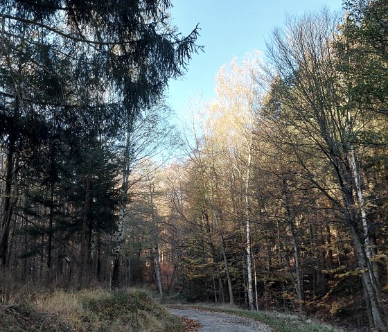 Novemberstimmung (co) Theißen-Braun