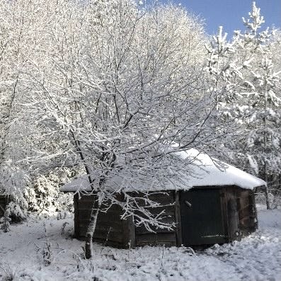 Wildnis Winter, &copy; Wildnistraining