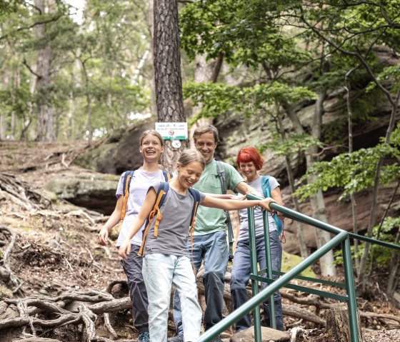 Short descent to the climbing rocks, © Eifel Tourismus GmbH Tobias Volmer