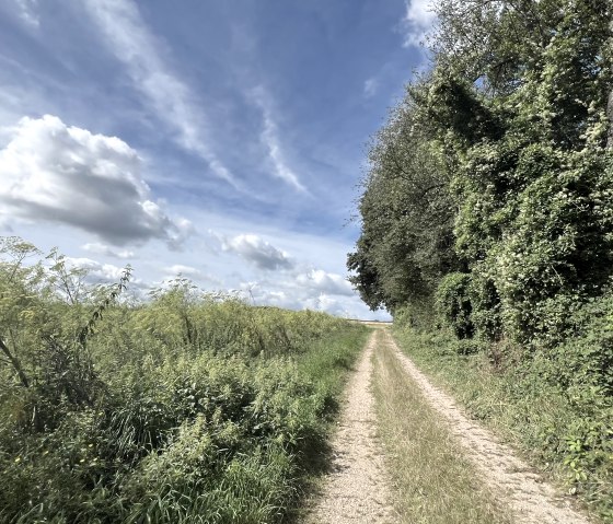 IMG_3369, &copy; Rureifel-Tourismus e.V., Michelle Wiesen