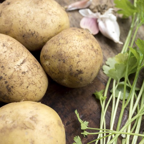 Kartoffelfest, &copy; Freepik