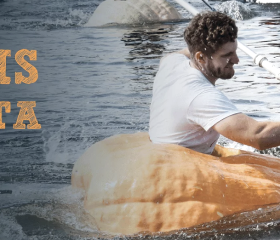Kürbis Regatta, © Krewelshof