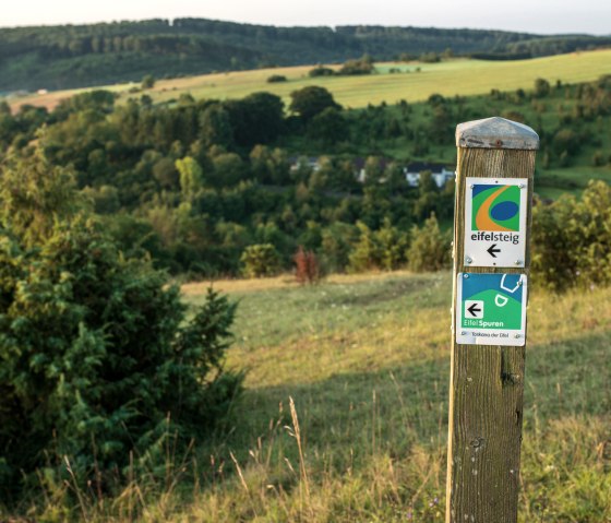 Ein Wegweiser der EifelSpur "Toskana der Eifel" steht in einer grünen, hügeligen Landschaft mit Bäumen und Wiesen., © Paul Meixner