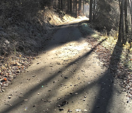 Radweg, &copy; Nordeifel Tourismus GmbH Zum Goldenen Schaf