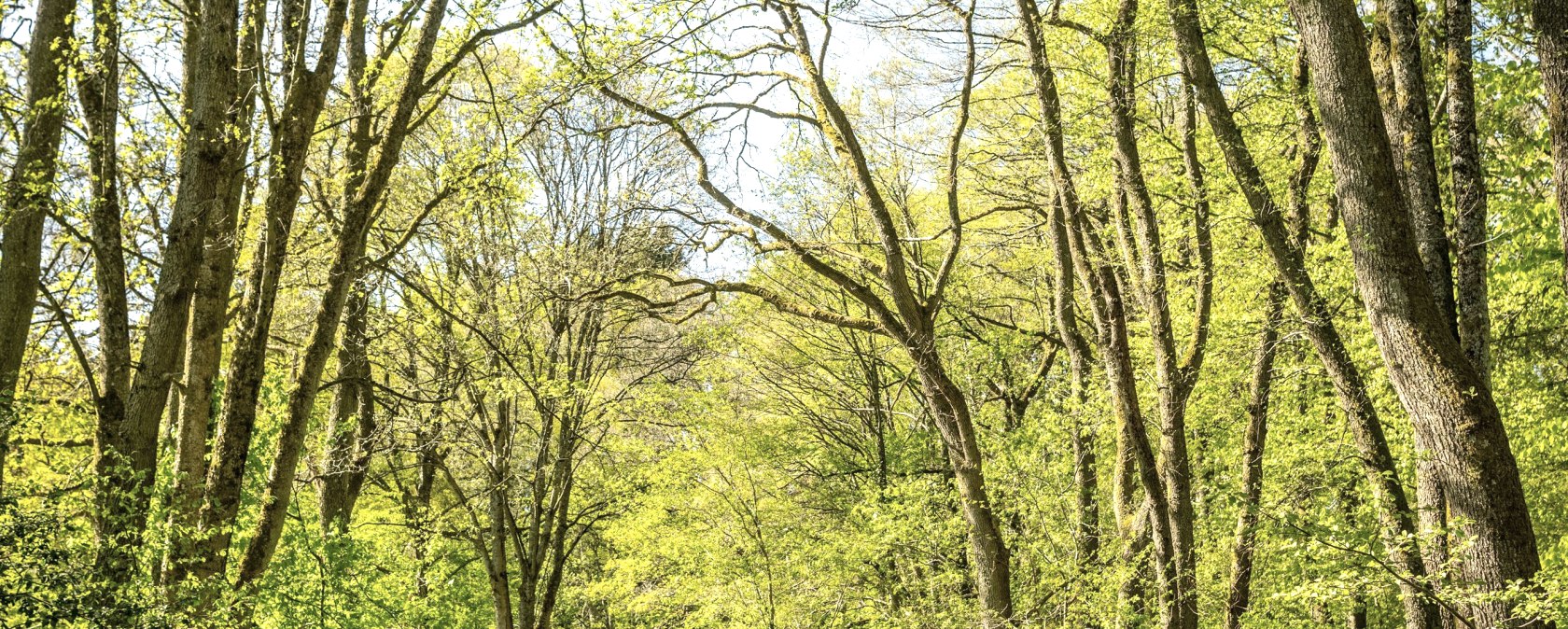 Roetgen, &copy; Kupferstadt Stolberg, Dominik Ketz