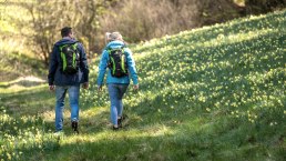 Wanderer bei den Narzissenwiesen, &copy; Eifel Tourismus GmbH, Dominik Ketz