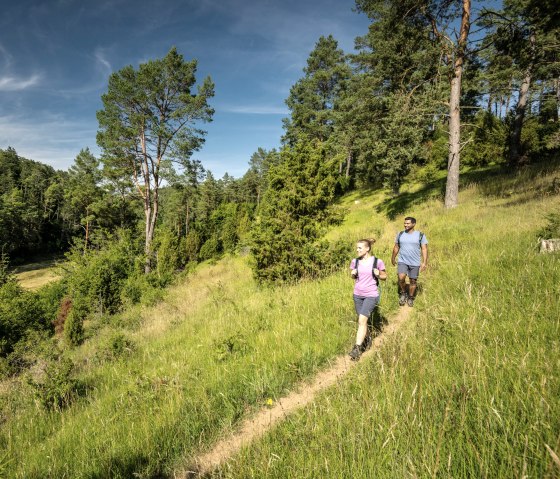 Zwei Personen wandern auf einem schmalen Pfad durch eine grüne, bewaldete Landschaft unter blauem Himmel., © Eifel Tourismus GmbH, Dominik Ketz