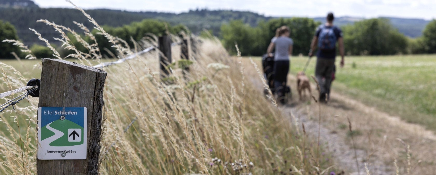 Wanderung f&uuml;r Familien, &copy; Eifel Tourismus GmbH - Tobias Vollmer