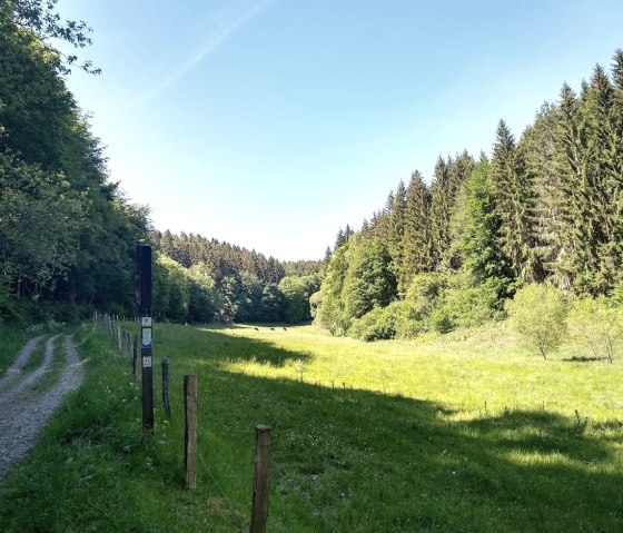 Wanderweg-51, &copy; Gemeinde Simmerath