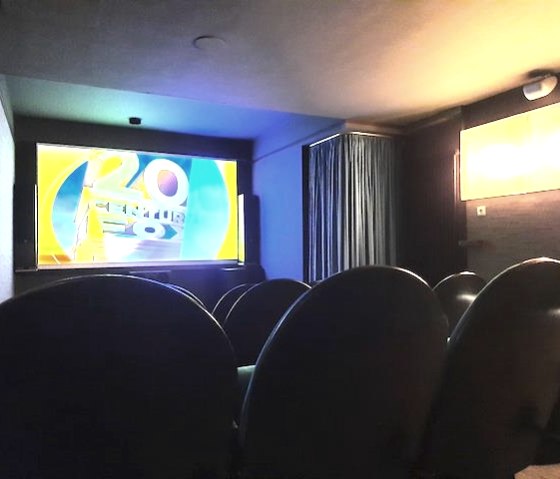 Kino auch f&uuml;r Netflix und X-box | Wildnishaus