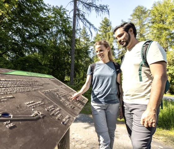 Barrier-free information in the Wilder Kermeter nature experience area, © Eifel Tourismus GmbH, Dominik Ketz