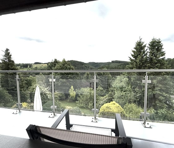 Haus Panoramablick Ferienwohnung 2 - Balkon
