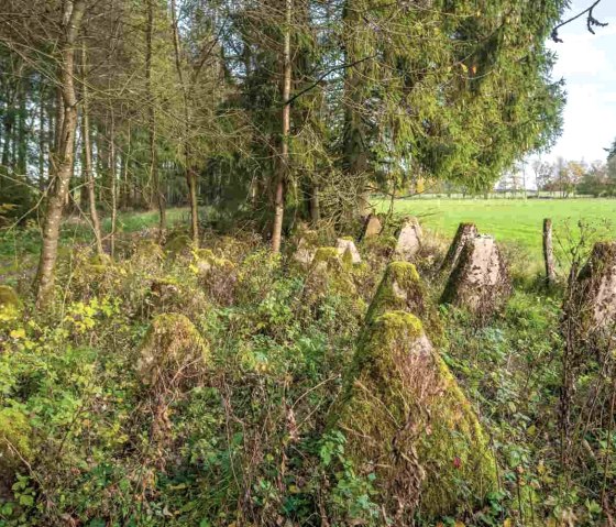 Der Westwall, © Paul Meixner