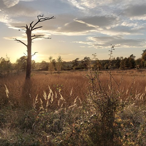 Abendstimmung Oktober (co) Theißen-Braun