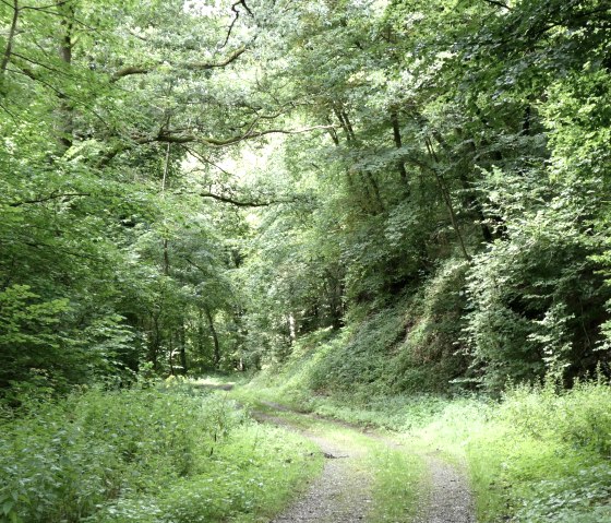 Weidenbachtal, © Guido Hendle