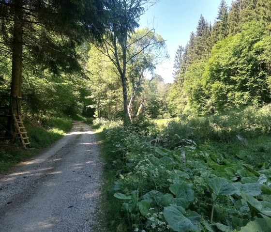Tiefenbach valley, &copy; Gemeinde Simmerath
