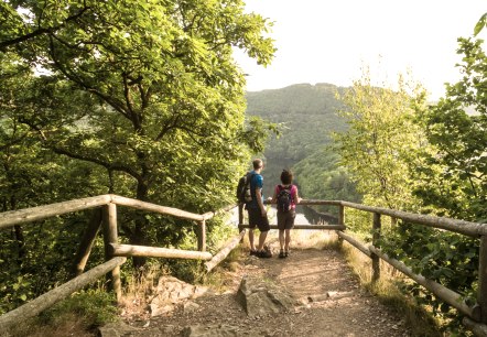 Blick auf die Urfttalsperre, &copy; Eifel Tourismus GmbH, D. Ketz