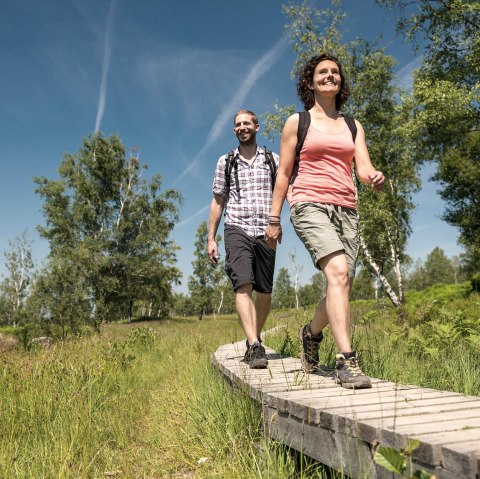 Holzstege &uuml;ber Moorfl&auml;chen, &copy; Eifel Tourismus, Dominik Ketz