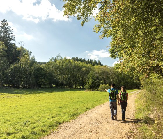 Symbolbild Wandern, &copy; Eifel Tourismus GmbH - Dominik Ketz