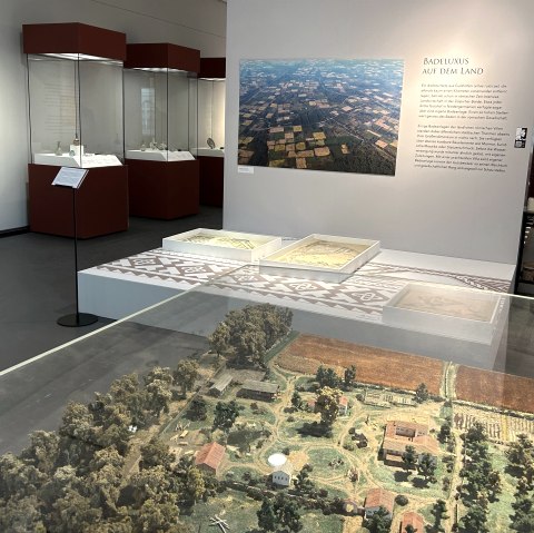 Blick in die Ausstellung, © Römerthermen Zülpich