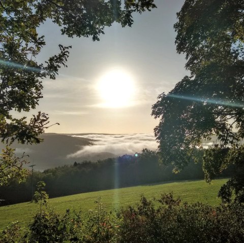 Eifel-Blick Jugendherberge Herbstnebel, © Rursee-Touristik GmbH