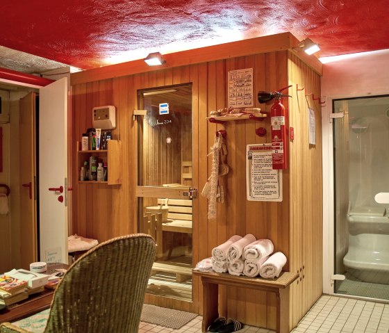 20200819mh_DESIGN-HOTEL-Sauna-001, &copy; Nordeifel Tourismus GmbH & Design Hotel Euskirchen