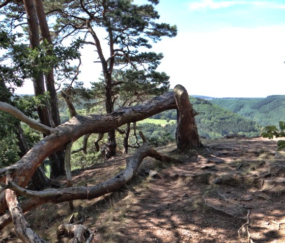Ruraue Ausblick, © http://der-eifelyeti.de/