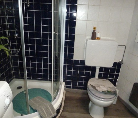 Shower room with washing machine, © Nordeifel Tourismus GmbH  & FW Schwamborm