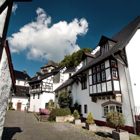 Historischer Ortskern Blankenheim mit Ahrquelle, © Eifel Tourismus GmbH, Dominik Ketz