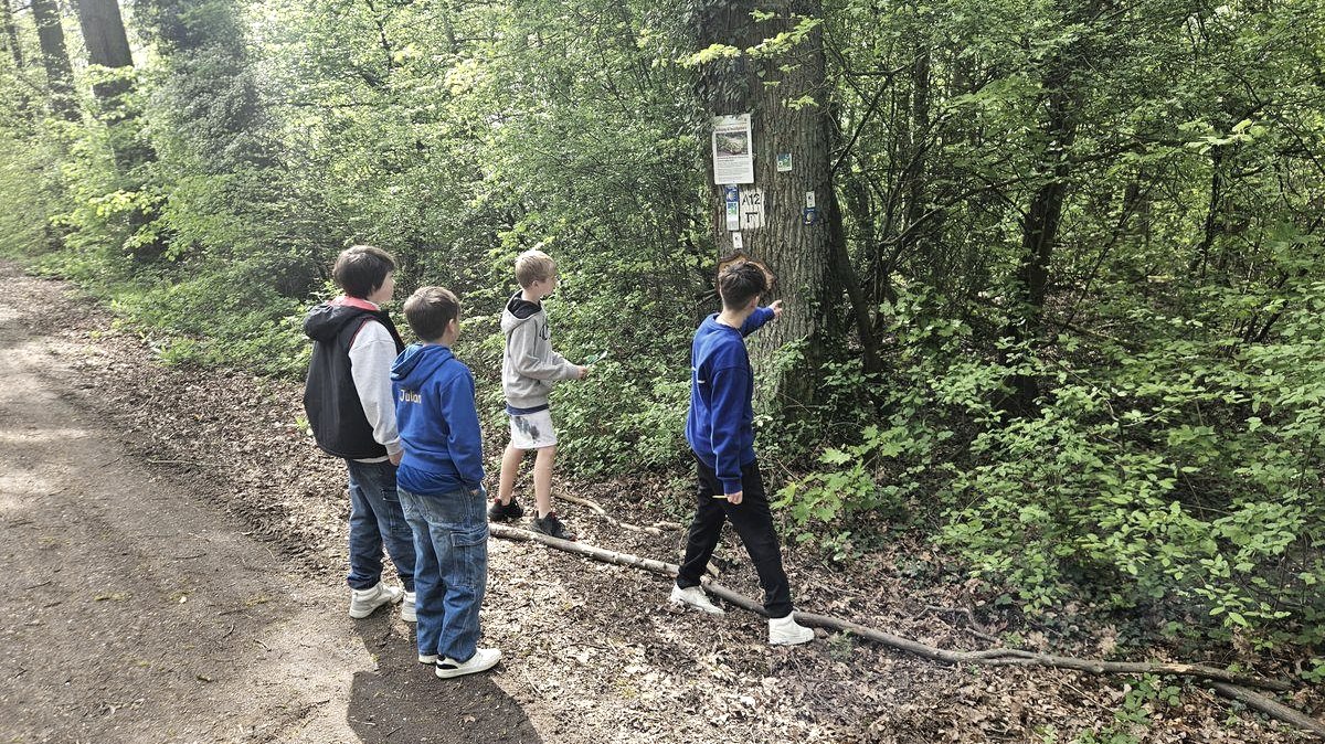 Fr&uuml;hlingswanderung, &copy; PG Weilerswist